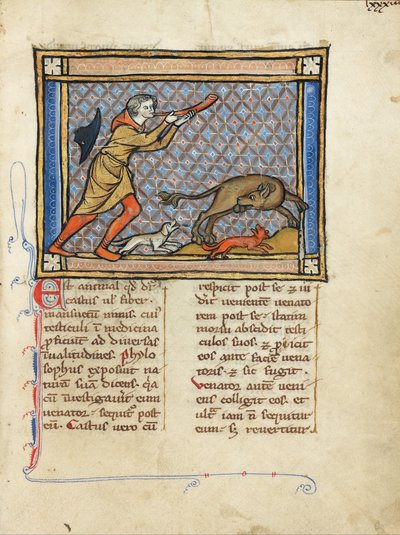 Een Jager die op zijn Hoorn Blaast terwijl zijn Honden een Bever Aanvallen door Unbekannt Unbekannt